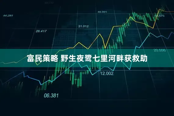 富民策略 野生夜鹭七里河畔获救助